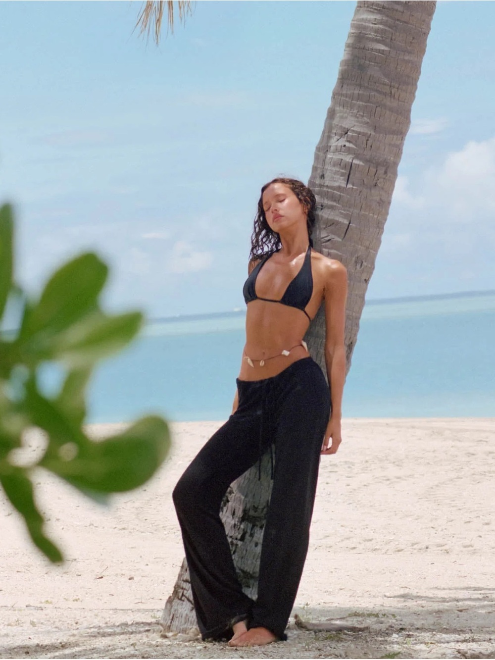 CSB Terry Beach Resort Pants